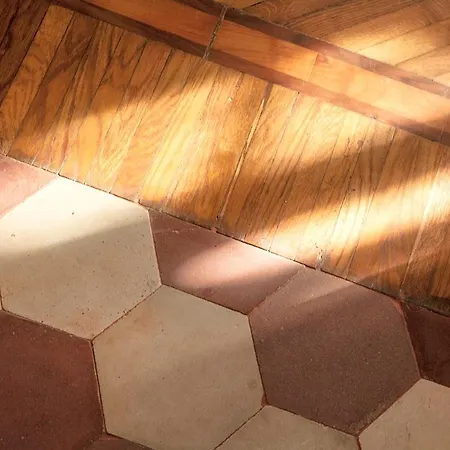 Urban Jungle * Boloňa