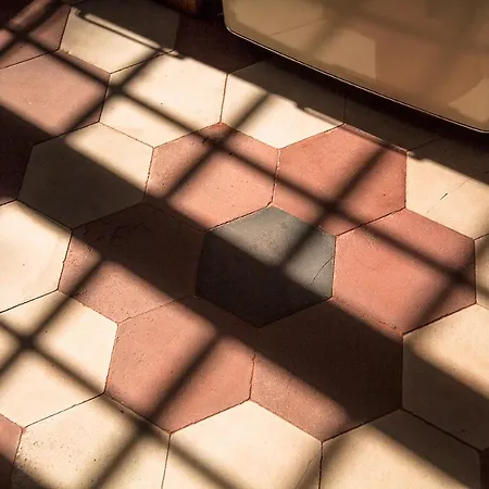 Apartmán Urban Jungle