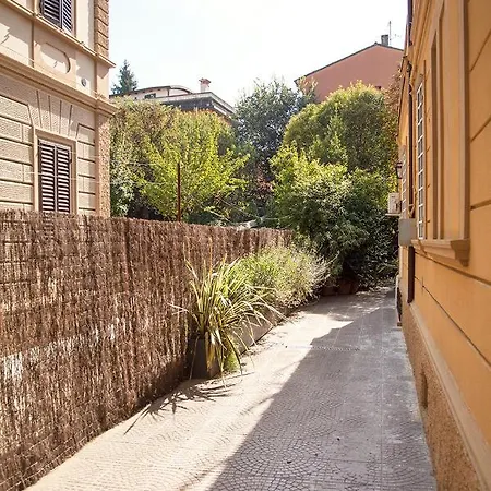 Urban Jungle *