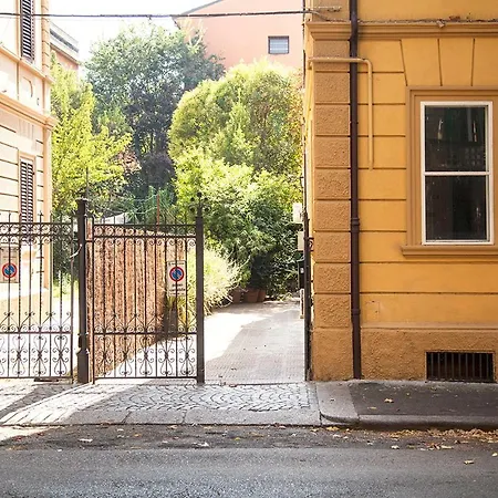 Urban Jungle