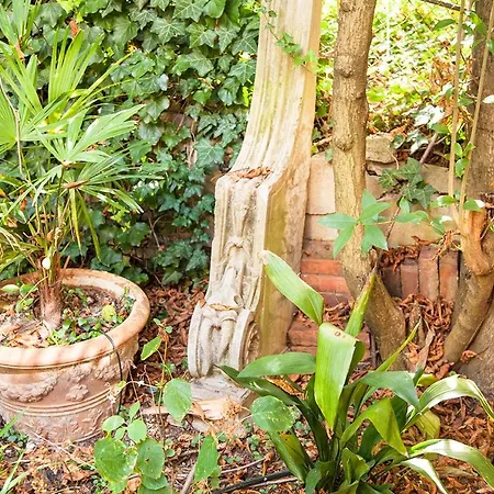 Urban Jungle * Μπολόνια