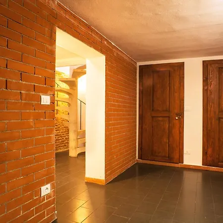 Urban Jungle * Μπολόνια