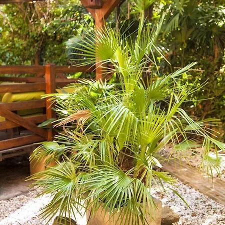 Appartamento Urban Jungle