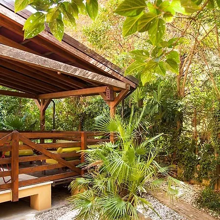 Urban Jungle Appartement *