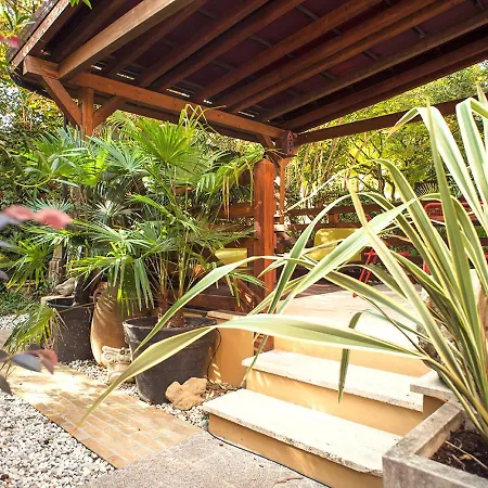 Urban Jungle * Bolonia