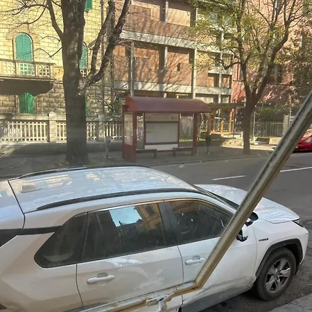 Urban Jungle * Boloňa