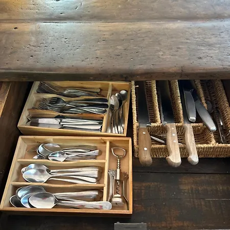 Urban Jungle Apartmán Boloňa