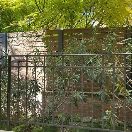 דירה Urban Jungle