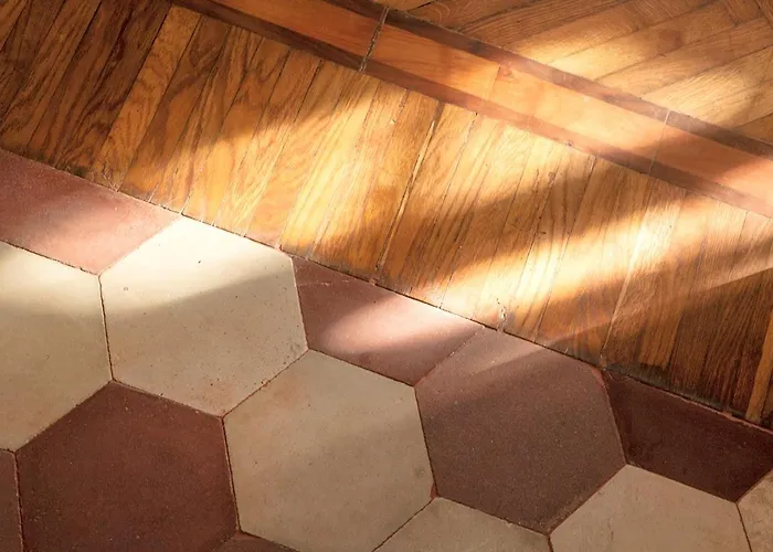 Urban Jungle * بولونيا