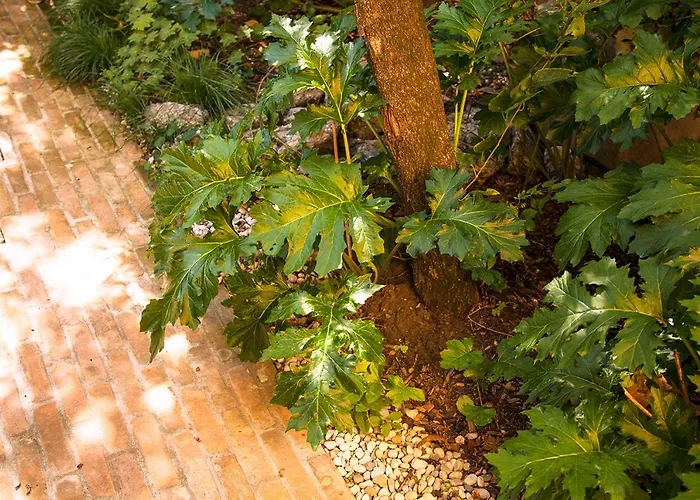 דירה Urban Jungle בולוניה