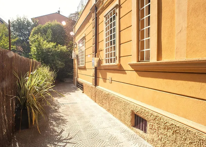 Urban Jungle * בולוניה