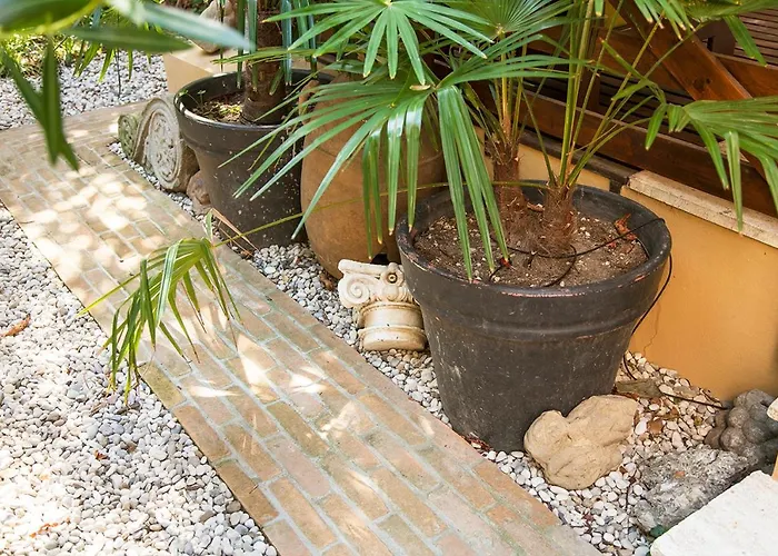 Urban Jungle דירה *