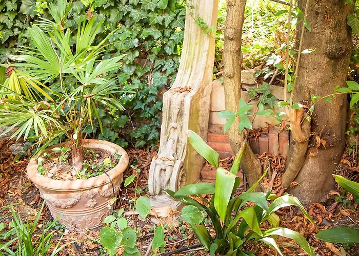 Urban Jungle * בולוניה