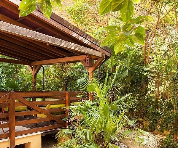 Urban Jungle شقة *