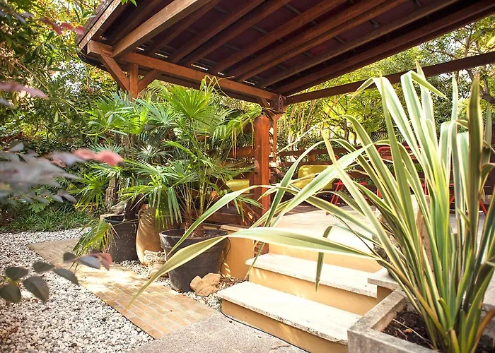 Urban Jungle * بولونيا