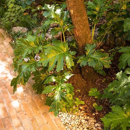 Apartamento Urban Jungle Bolonia