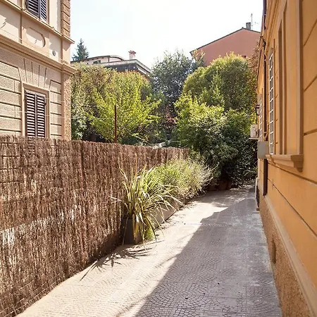 Urban Jungle *