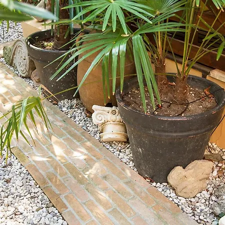 Urban Jungle Apartamento *